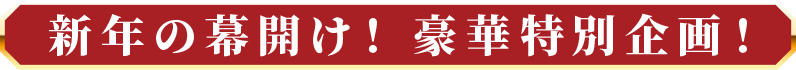 新年の幕開け